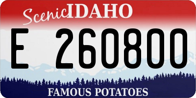ID license plate E260800
