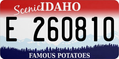 ID license plate E260810