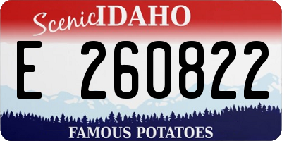 ID license plate E260822