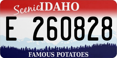 ID license plate E260828