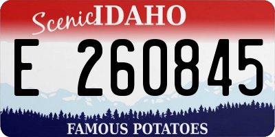 ID license plate E260845
