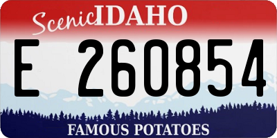 ID license plate E260854