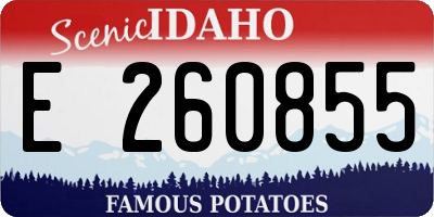 ID license plate E260855