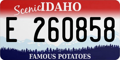 ID license plate E260858