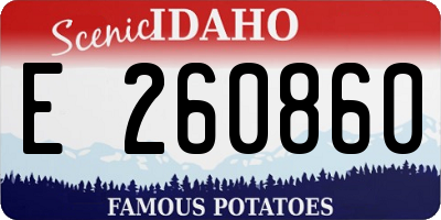 ID license plate E260860