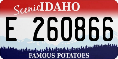 ID license plate E260866