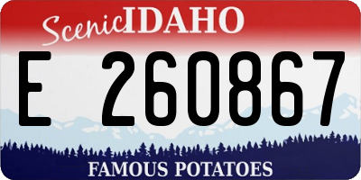 ID license plate E260867