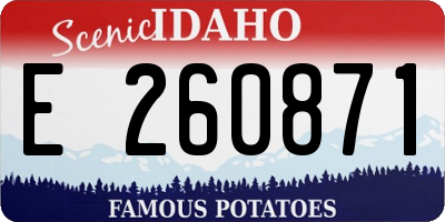 ID license plate E260871