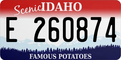 ID license plate E260874