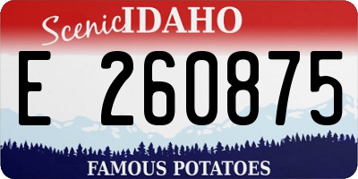 ID license plate E260875