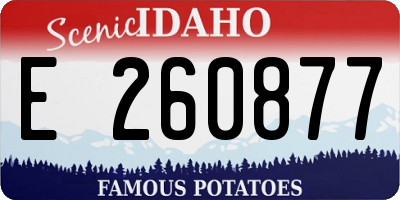 ID license plate E260877