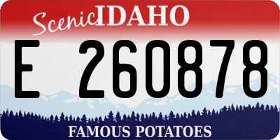 ID license plate E260878