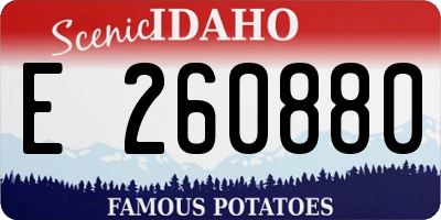 ID license plate E260880
