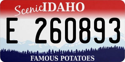 ID license plate E260893