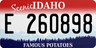 ID license plate E260898