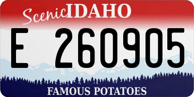 ID license plate E260905