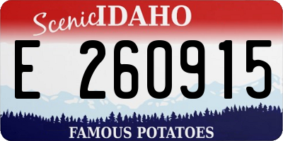 ID license plate E260915