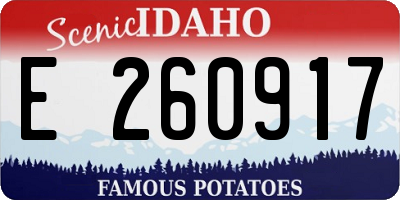 ID license plate E260917