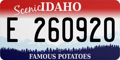 ID license plate E260920