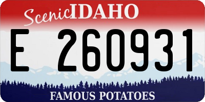 ID license plate E260931