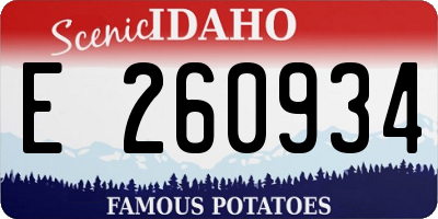 ID license plate E260934
