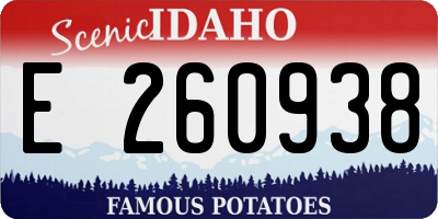 ID license plate E260938