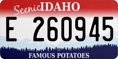 ID license plate E260945