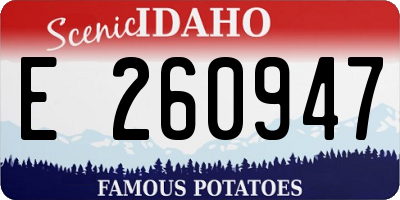 ID license plate E260947