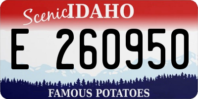 ID license plate E260950