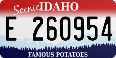 ID license plate E260954