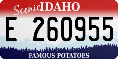 ID license plate E260955
