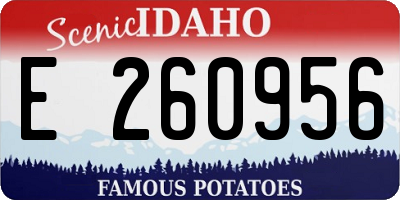 ID license plate E260956
