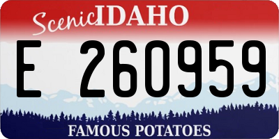 ID license plate E260959
