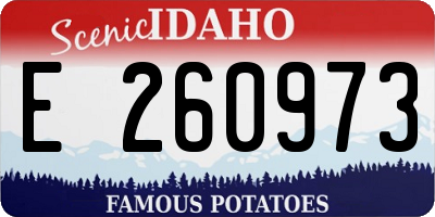 ID license plate E260973