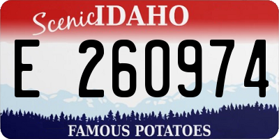 ID license plate E260974