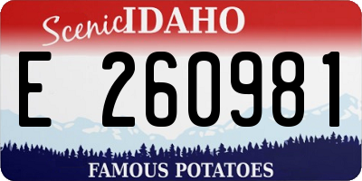 ID license plate E260981