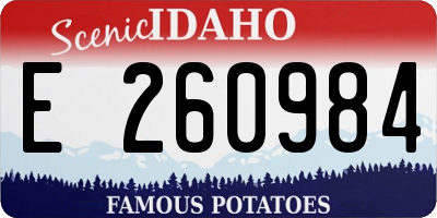 ID license plate E260984