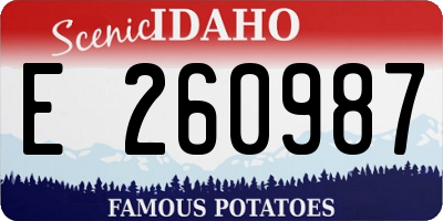 ID license plate E260987