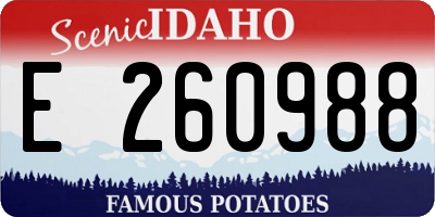 ID license plate E260988