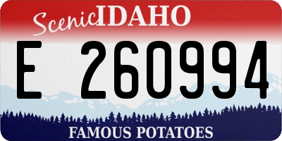 ID license plate E260994