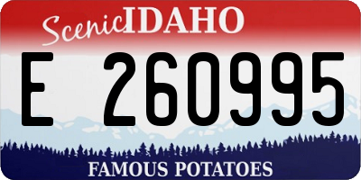 ID license plate E260995