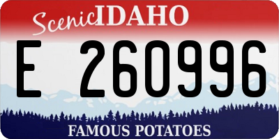 ID license plate E260996