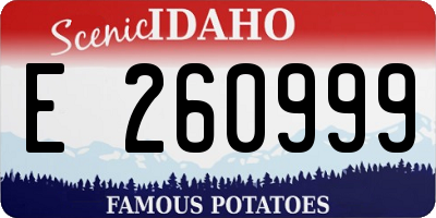 ID license plate E260999