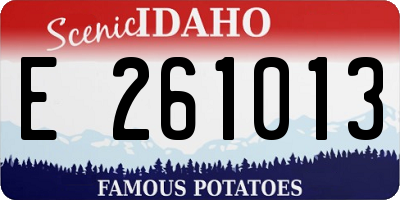ID license plate E261013