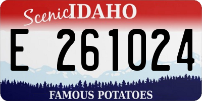 ID license plate E261024