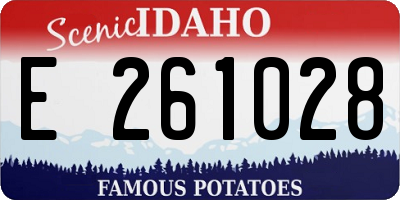 ID license plate E261028