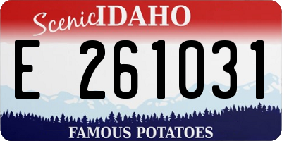 ID license plate E261031