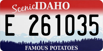 ID license plate E261035