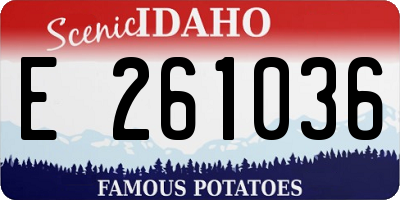 ID license plate E261036