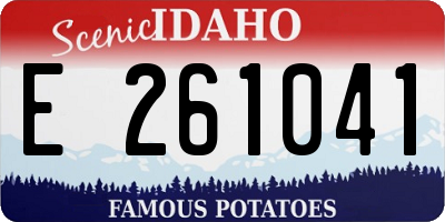 ID license plate E261041